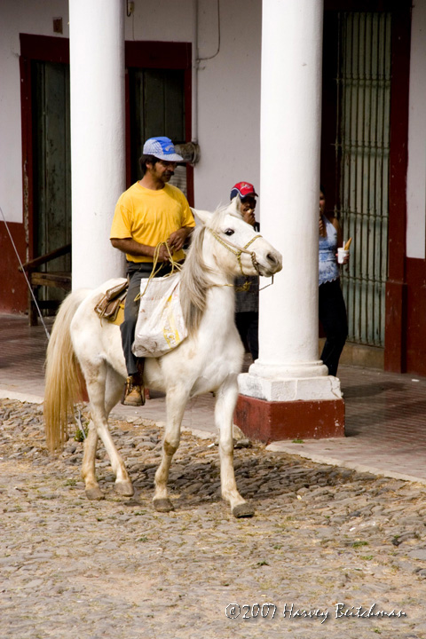 Horseback Rider No-1309.jpg